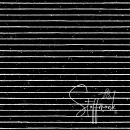 " STRIPES - schwarz "  - Bio Jersey